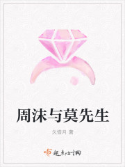 周沫与莫先生封面