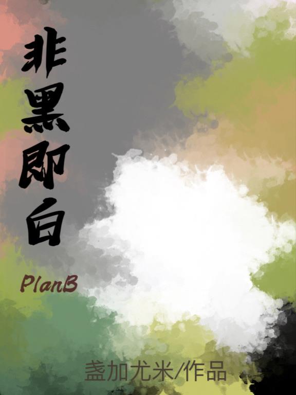 非黑即白PlanB封面