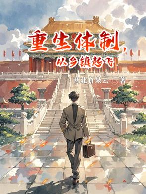 重生体制，从乡镇起飞封面