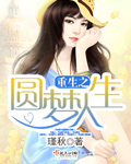重生之圆梦人生封面