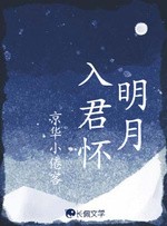 明月入君怀封面