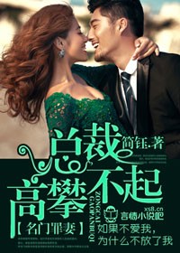名门罪妻，总裁高攀不起封面