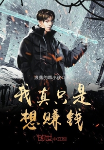 我真只是想赚钱封面