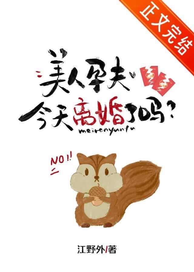 美人孕夫今天离婚了吗封面
