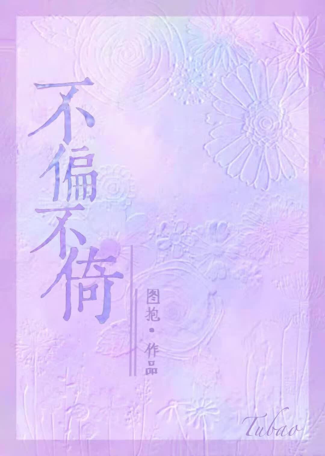不偏不倚封面