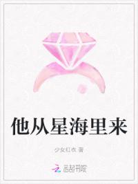 他从星海里来封面