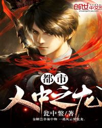 都市人中之龙封面