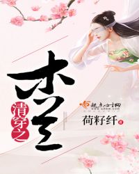 清穿之木兰封面