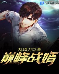 巅峰战婿封面