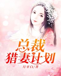 总裁猎妻计划封面