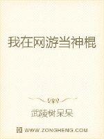 我在网游当神棍封面