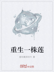 重生一株莲封面