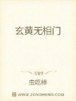 玄黄无相门封面