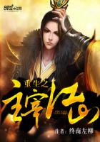 重生之主宰江山封面