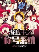 海贼王之称号系统封面
