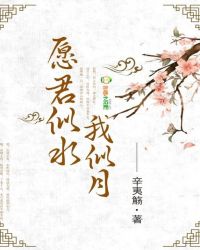 愿君似水我似月封面