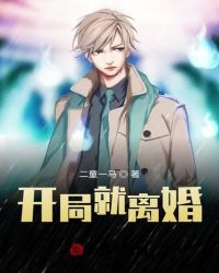 开局就离婚封面