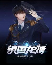 镇国龙婿封面