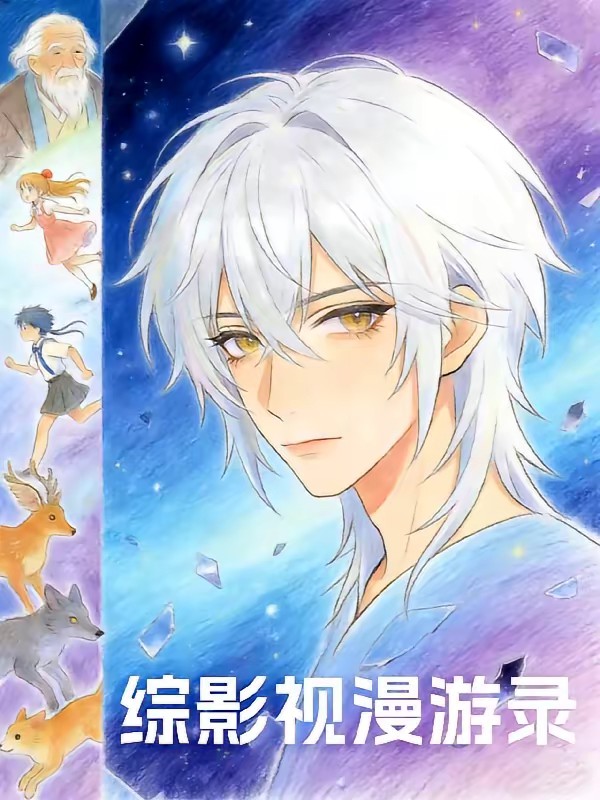 综影视漫游录封面