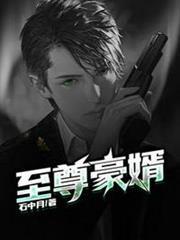 至尊神婿叶昊郑漫儿封面