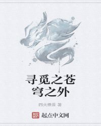 寻觅之苍穹之外封面