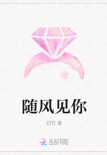 随风见你封面