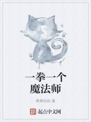 一拳一个魔法师封面