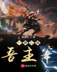一命二运吾主宰封面