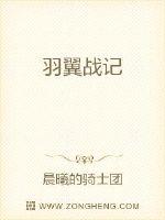 羽翼战记封面