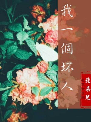 我一个坏人封面