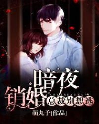 暗夜销婚:总裁,别想逃封面