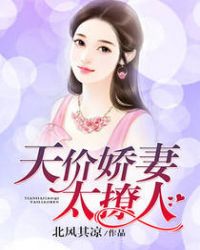 天价娇妻太撩人封面