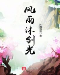 风雨沐剑光封面