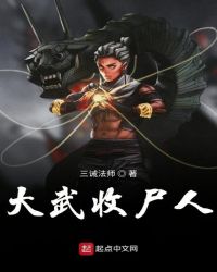 大武收尸人封面