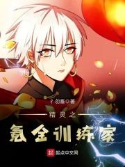 精灵之氪金训练家封面