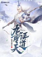 证道九重天封面