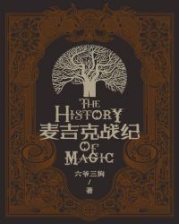 麦吉克战纪封面