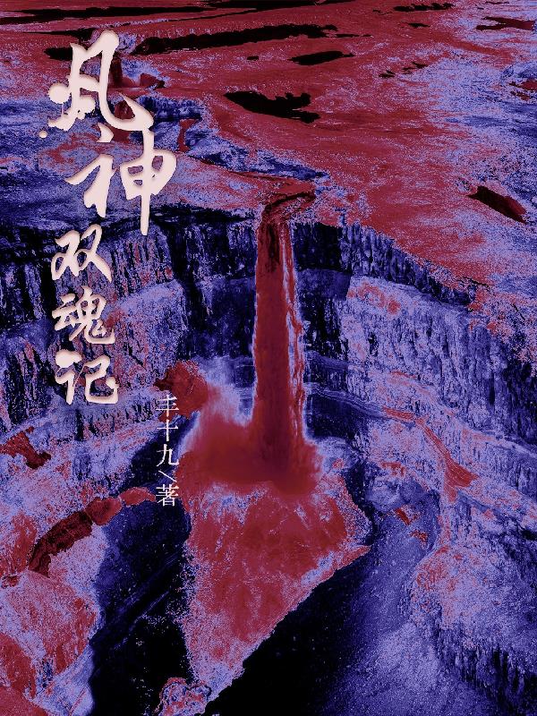 凡神双魂记封面