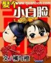 娶个小白脸封面