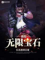 我有无限宝石封面