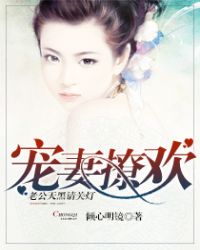 宠妻撩欢封面