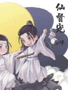 仙督宠封面