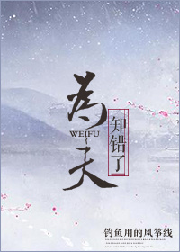 为夫知错了封面