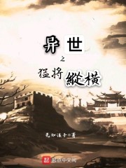 异世之猛将纵横封面