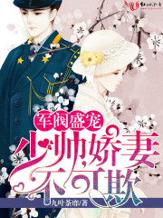 军阀盛宠：少帅，娇妻不可欺封面