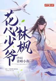 花心少爷林枫封面
