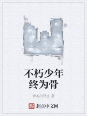 不朽少年终为骨封面