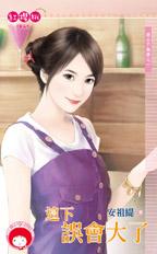 这下误会大了封面