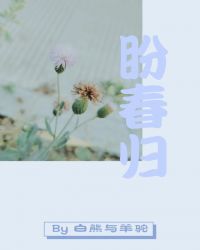 盼春归封面
