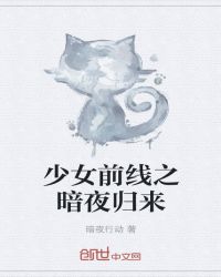 少女前线之暗夜归来封面